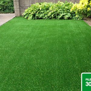 SGS Easy Lawn featured