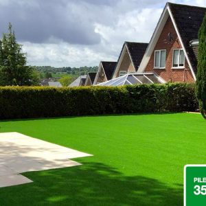 SGS Natural Lawn featured