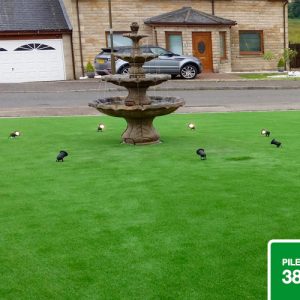 SGS Plush Lawn featured